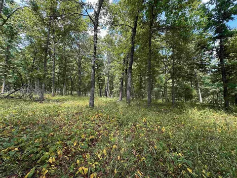 Exterior - 83 Buckboard Dr, Williford, AR 72482 photo 10 of 14