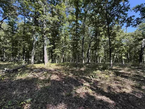 Exterior - 83 Buckboard Dr, Williford, AR 72482 photo 13 of 14