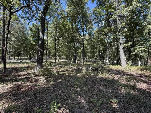 Exterior - 83 Buckboard Dr, Williford, AR 72482 photo 14 of 14