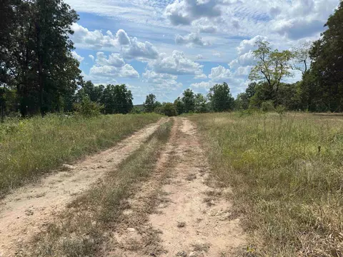 Other - 83 Buckboard Dr, Williford, AR 72482 photo 5 of 7