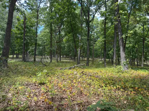 Other - 83 Buckboard Dr, Williford, AR 72482 photo 7 of 7
