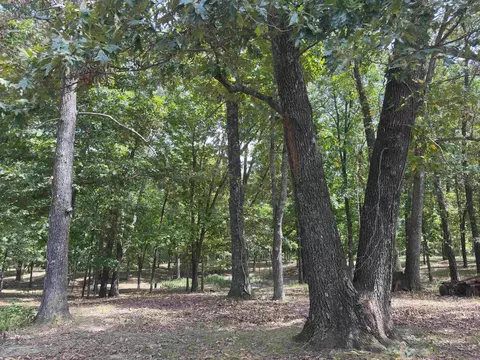 Exterior - 83 Buckboard Dr, Williford, AR 72482 photo 9 of 14