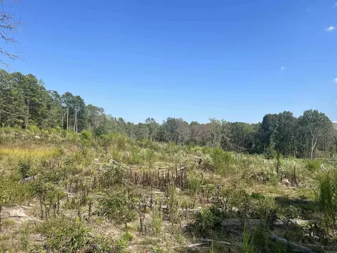 2367 Hwy 346, Amity, AR 71921 photo 9