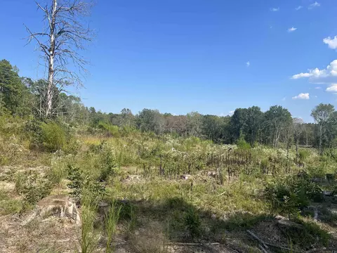 2367 Hwy 346, Amity, AR 71921 photo 7