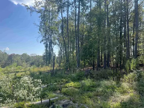 2367 Hwy 346, Amity, AR 71921 photo 8