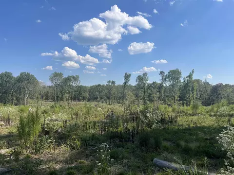 2367 Hwy 346, Amity, AR 71921 photo 10