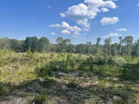 2367 Hwy 346, Amity, AR 71921 photo 6