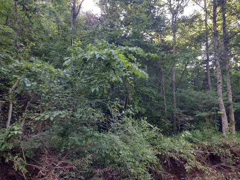 00 Roasting Ear Rd, Big Flat, AR 72617 photo 5