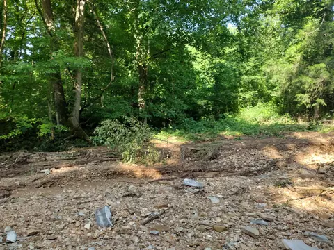 00 Roasting Ear Rd, Big Flat, AR 72617 photo 7