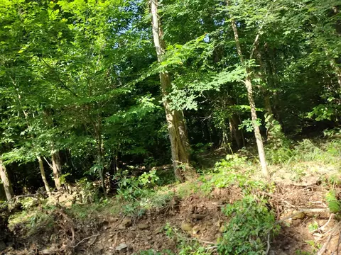 00 Roasting Ear Rd, Big Flat, AR 72617 photo 3