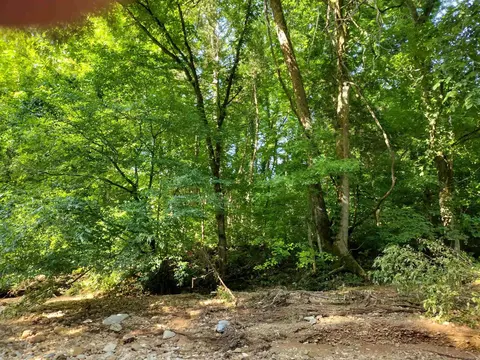 00 Roasting Ear Rd, Big Flat, AR 72617 photo 6