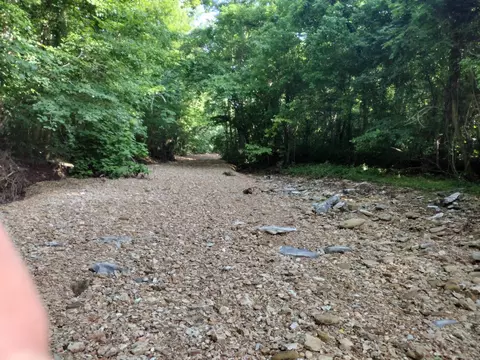 00 Roasting Ear Rd, Big Flat, AR 72617 photo 2