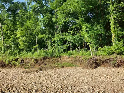 00 Roasting Ear Rd, Big Flat, AR 72617 photo 21