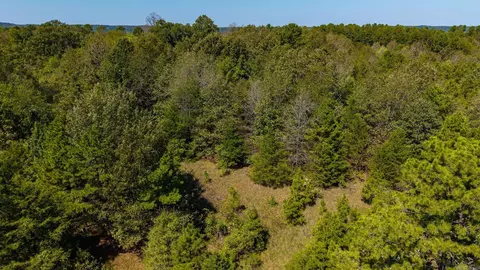 Other - 250 Bluegrass Rd, Springfield, AR 72157 photo 11 of 15
