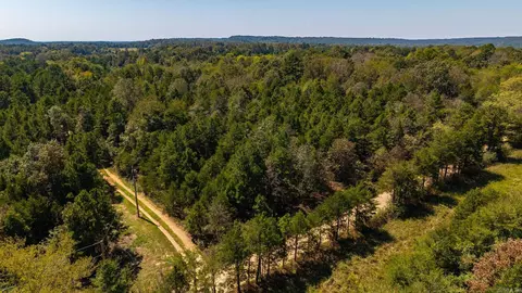 Other - 250 Bluegrass Rd, Springfield, AR 72157 photo 5 of 15
