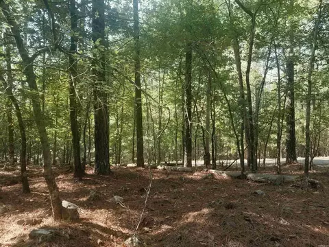 19 Celeste Ln, Hot Springs Village, AR 72122