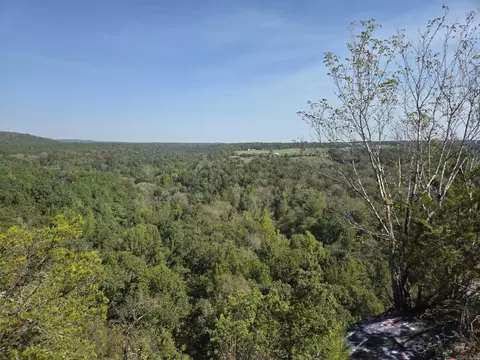 34 14 Acres Off Hwy 31 N, Romance, AR 72136 photo 17