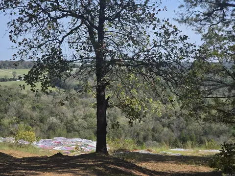 34 14 Acres Off Hwy 31 N, Romance, AR 72136 photo 2