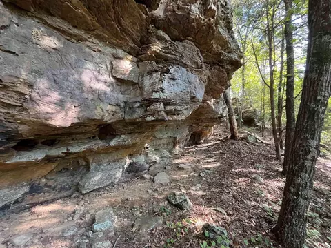 000 263 Hwy, Fox, AR 72051 photo 25