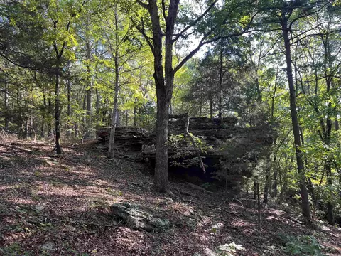 000 263 Hwy, Fox, AR 72051 photo 22