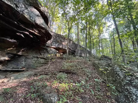 000 263 Hwy, Fox, AR 72051 photo 4