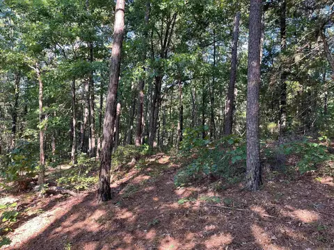 000 263 Hwy, Fox, AR 72051 photo 19