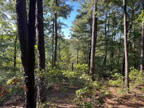 000 263 Hwy, Fox, AR 72051 photo 18