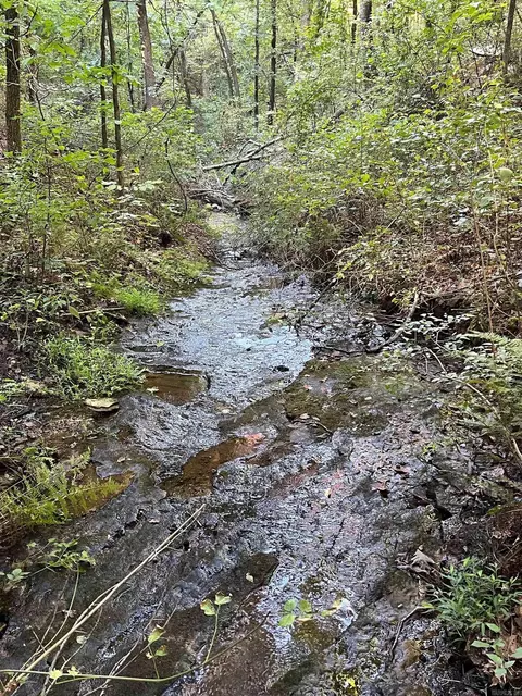 000 263 Hwy, Fox, AR 72051 photo 11