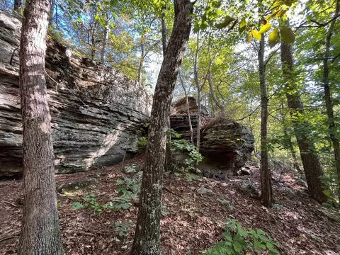000 263 Hwy, Fox, AR 72051 photo 27