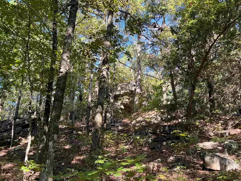 000 263 Hwy, Fox, AR 72051 photo 13