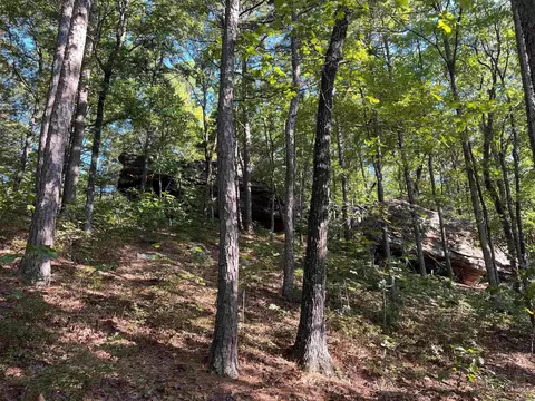 000 263 Hwy, Fox, AR 72051 photo 17