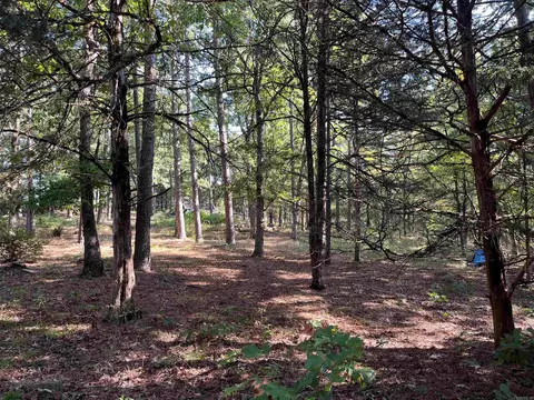 000 263 Hwy, Fox, AR 72051 photo 31