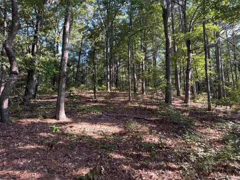 000 263 Hwy, Fox, AR 72051 photo 20