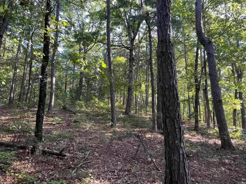 000 263 Hwy, Fox, AR 72051 photo 21