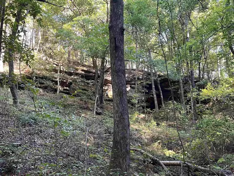 000 263 Hwy, Fox, AR 72051 photo 7