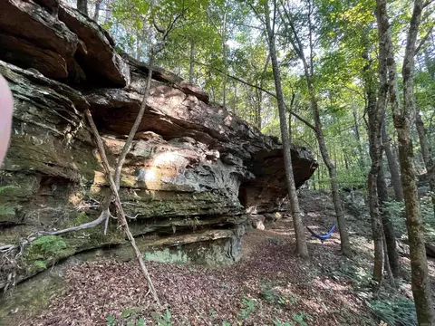 000 263 Hwy, Fox, AR 72051 photo 6