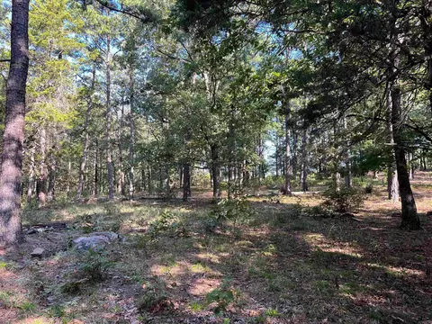 000 263 Hwy, Fox, AR 72051 photo 30