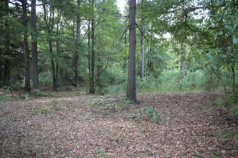 South Bingen Cir., Nashville, AR 71852