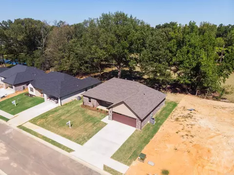 View/Area - 310 Millie Ct, Austin, AR 72007 photo 3 of 4