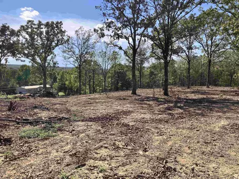 1 Williams Road, Austin, AR 72007 photo 3