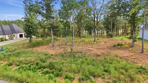 2965 Orchard View Dr, Conway, AR 72034 photo 5