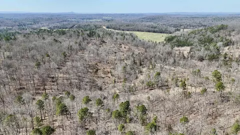 311 Rock Hill Rd, Dolph, AR 72528 photo 28
