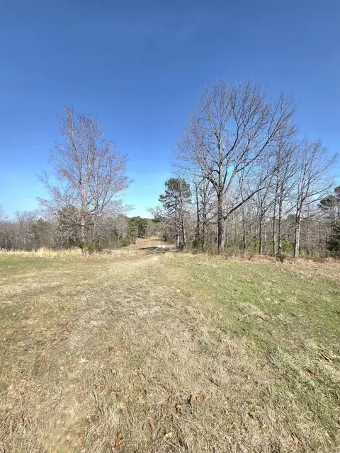 311 Rock Hill Rd, Dolph, AR 72528 photo 10