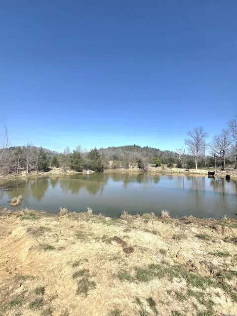 311 Rock Hill Rd, Dolph, AR 72528 photo 4