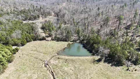 311 Rock Hill Rd, Dolph, AR 72528 photo 26