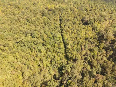 000 Brushy Creek Rd, Rison, AR 71665 photo 11