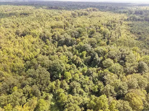 000 Brushy Creek Rd, Rison, AR 71665 photo 8