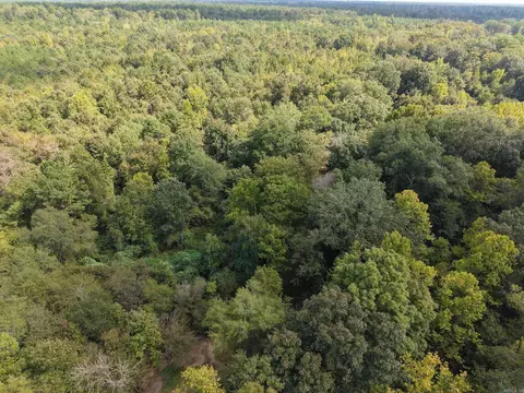 000 Brushy Creek Rd, Rison, AR 71665 photo 5