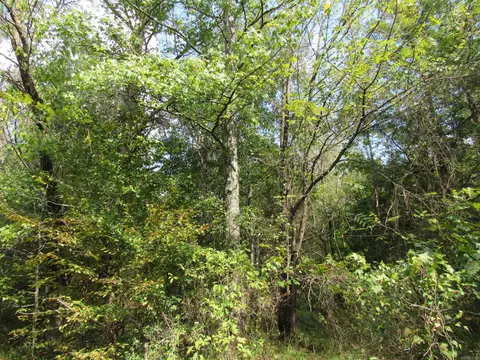 000 Brushy Creek Rd, Rison, AR 71665 photo 40