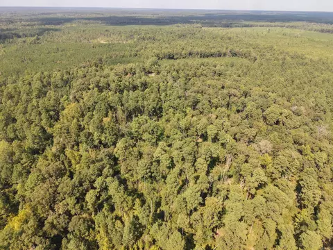 000 Brushy Creek Rd, Rison, AR 71665 photo 26